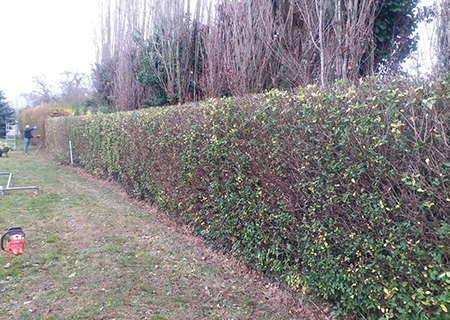 Entretien des espaces verts par Clôt'n Co près de Lens